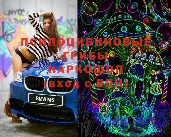 ПСИЛОЦИБИНОВЫЕ ГРИБЫ Белоозёрский
