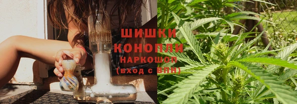 ПСИЛОЦИБИНОВЫЕ ГРИБЫ Белоозёрский